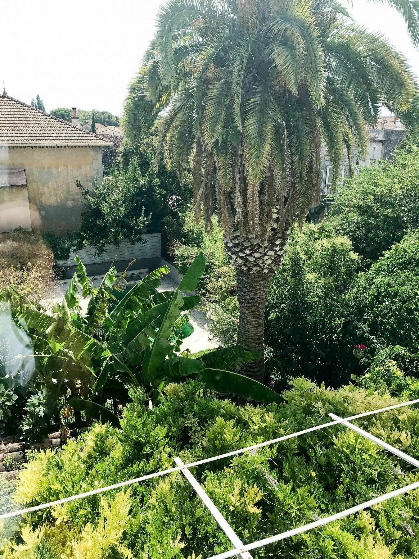 Palmeira, Piscine - Parking - Clim アルル エクステリア 写真
